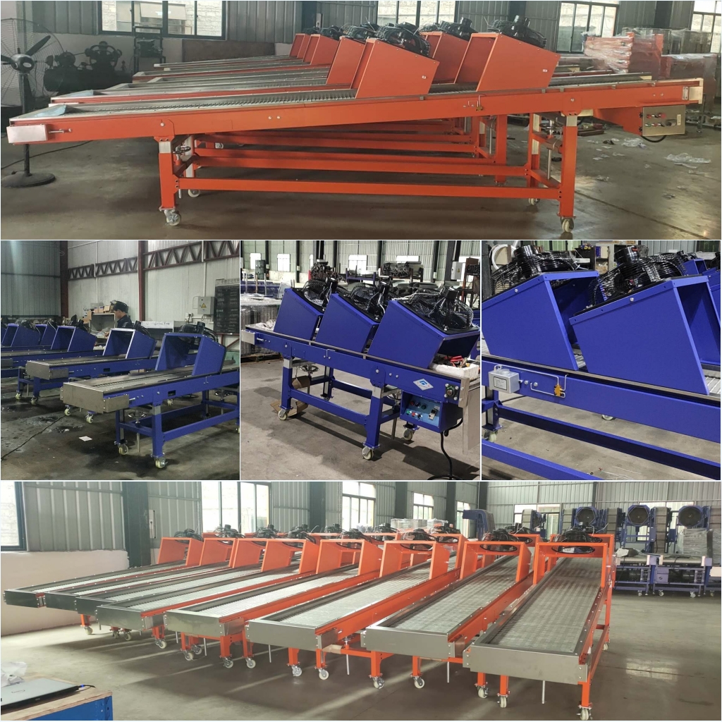 Conveyor Belt W400/L6000